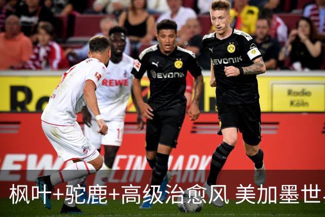 枫叶+驼鹿+高级治愈风 美加墨世界杯加拿大赛区开幕